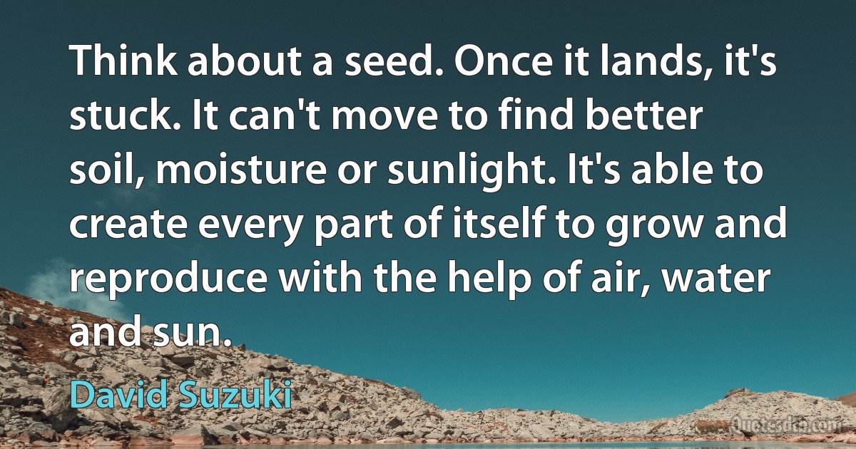 Think about a seed. Once it lands, it's stuck. It can't move to find better soil, moisture or sunlight. It's able to create every part of itself to grow and reproduce with the help of air, water and sun. (David Suzuki)