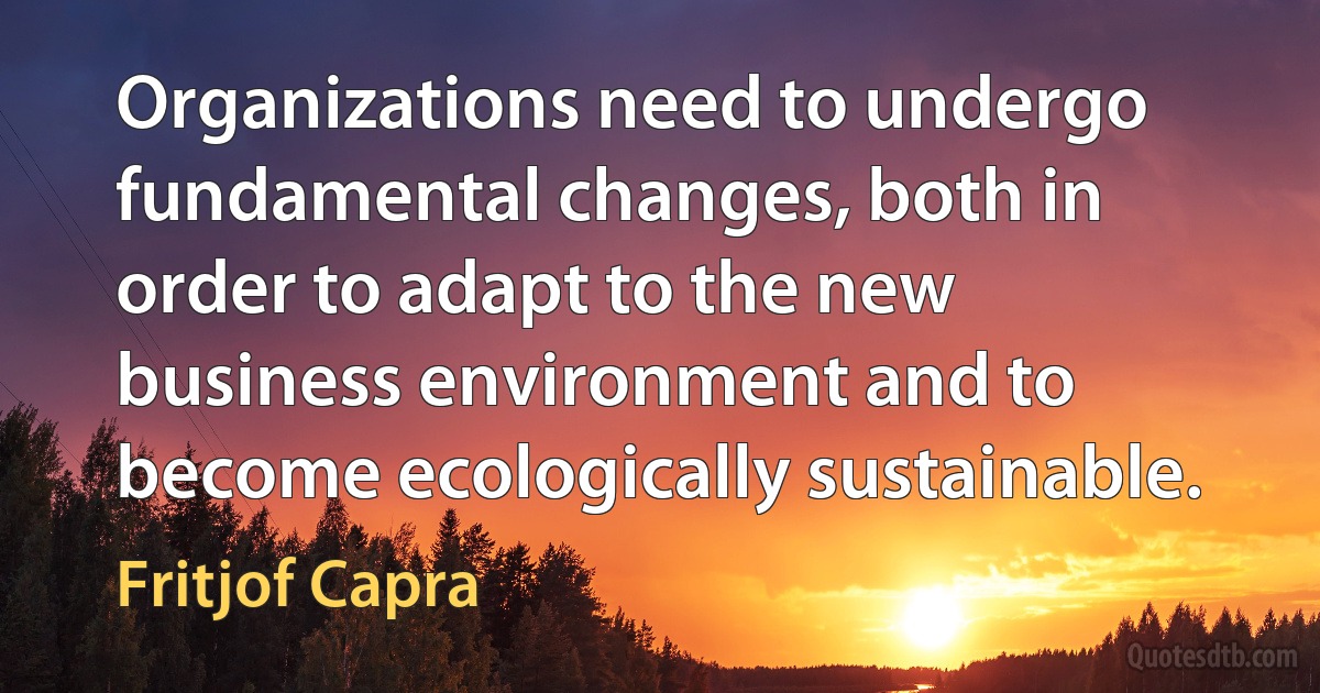 Organizations need to undergo fundamental changes, both in order to adapt to the new business environment and to become ecologically sustainable. (Fritjof Capra)