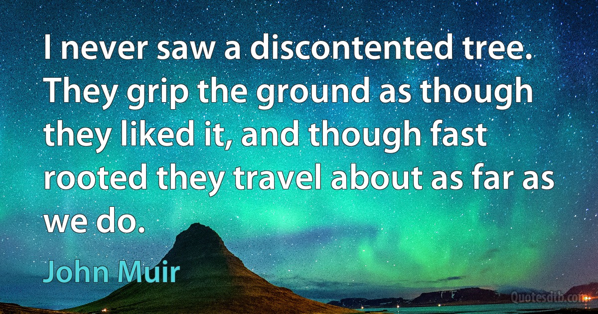 I never saw a discontented tree. They grip the ground as though they liked it, and though fast rooted they travel about as far as we do. (John Muir)