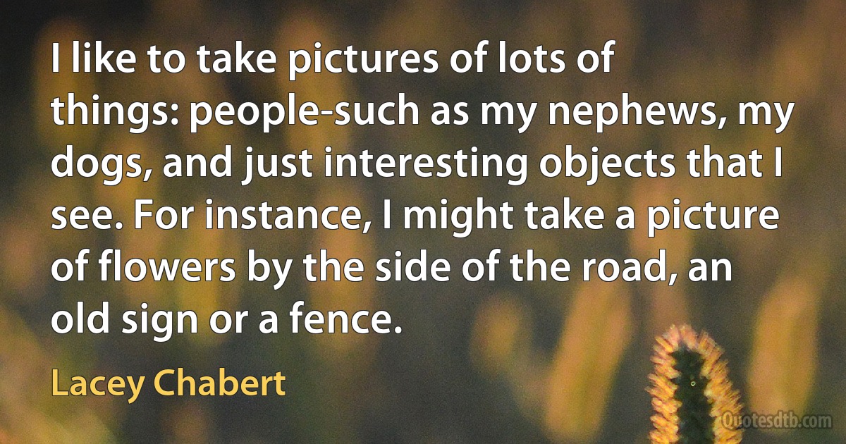 I like to take pictures of lots of things: people-such as my nephews, my dogs, and just interesting objects that I see. For instance, I might take a picture of flowers by the side of the road, an old sign or a fence. (Lacey Chabert)