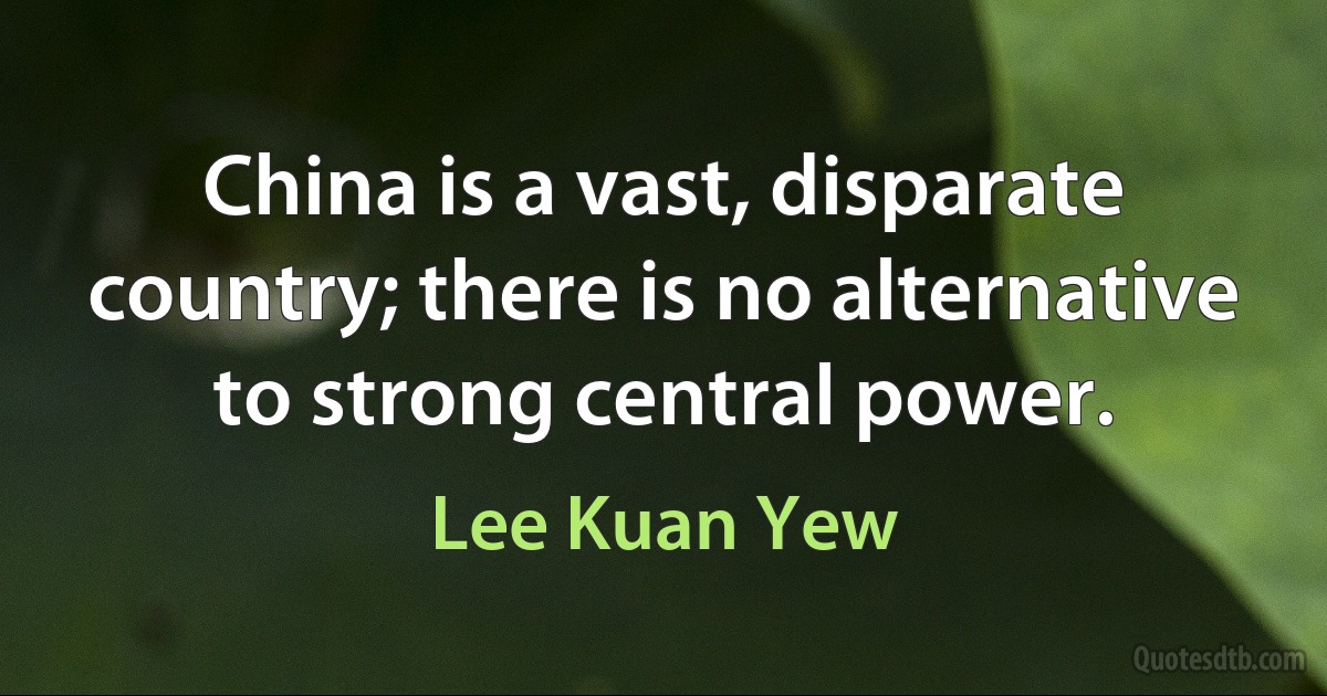 China is a vast, disparate country; there is no alternative to strong central power. (Lee Kuan Yew)