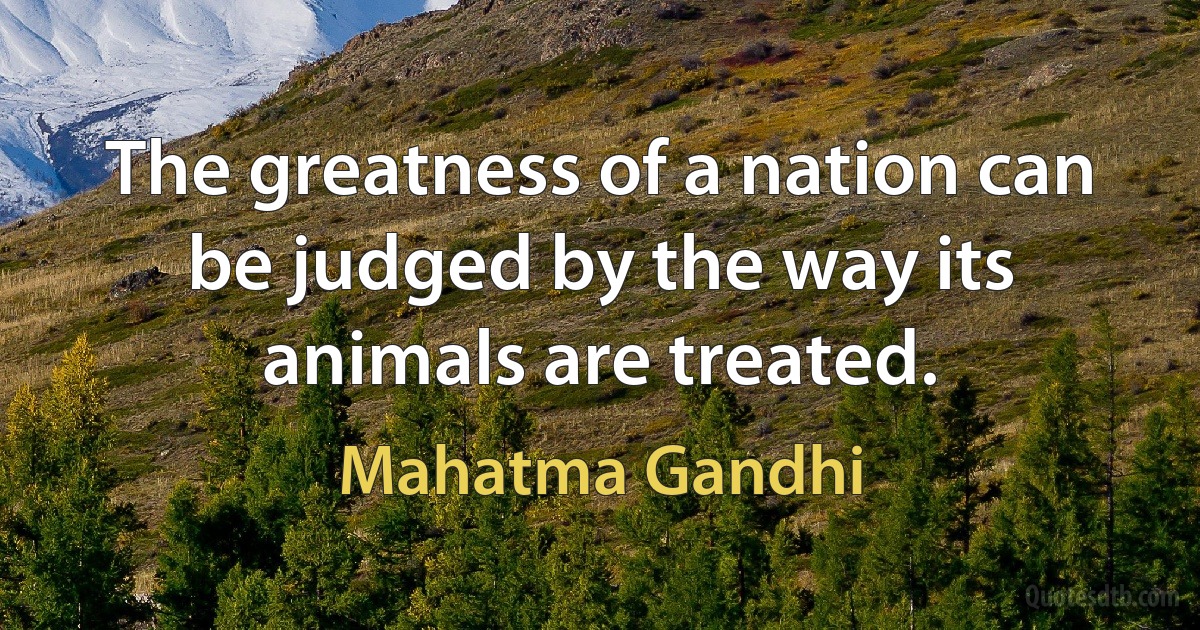 The greatness of a nation can be judged by the way its animals are treated. (Mahatma Gandhi)