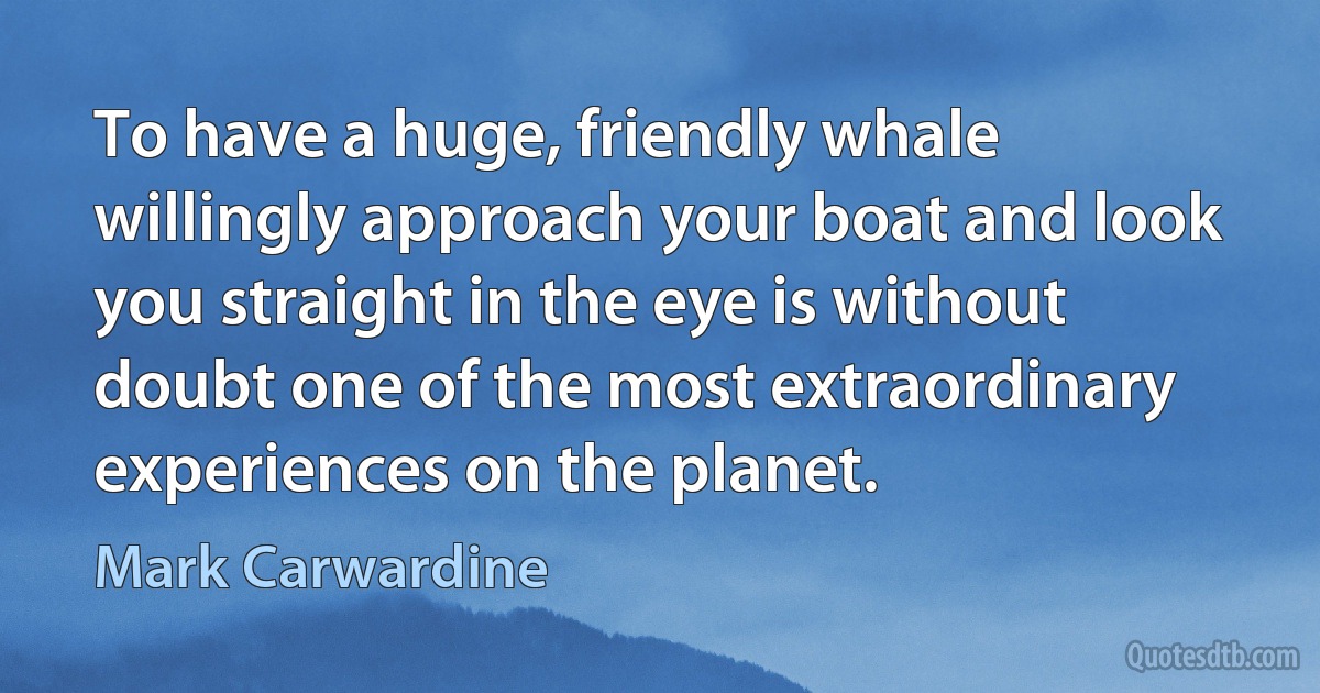 To have a huge, friendly whale willingly approach your boat and look you straight in the eye is without doubt one of the most extraordinary experiences on the planet. (Mark Carwardine)