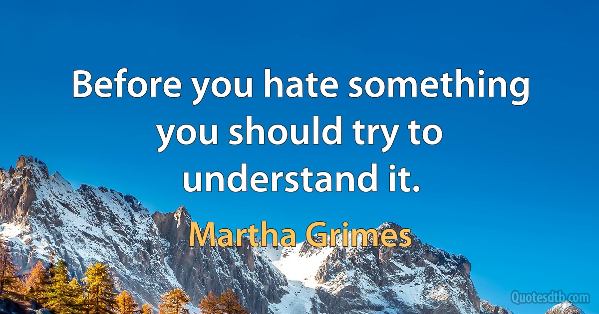 Before you hate something you should try to understand it. (Martha Grimes)