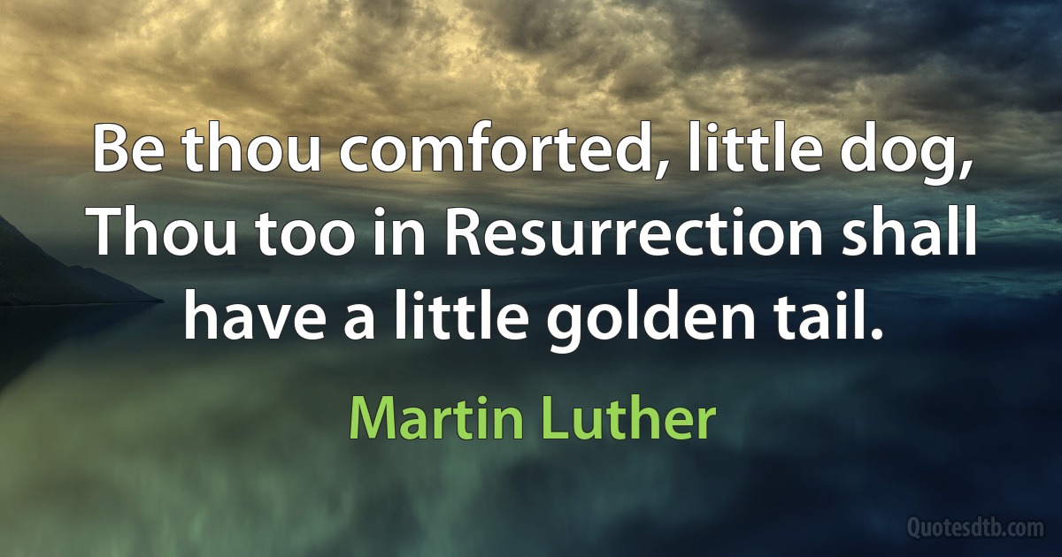 Be thou comforted, little dog, Thou too in Resurrection shall have a little golden tail. (Martin Luther)