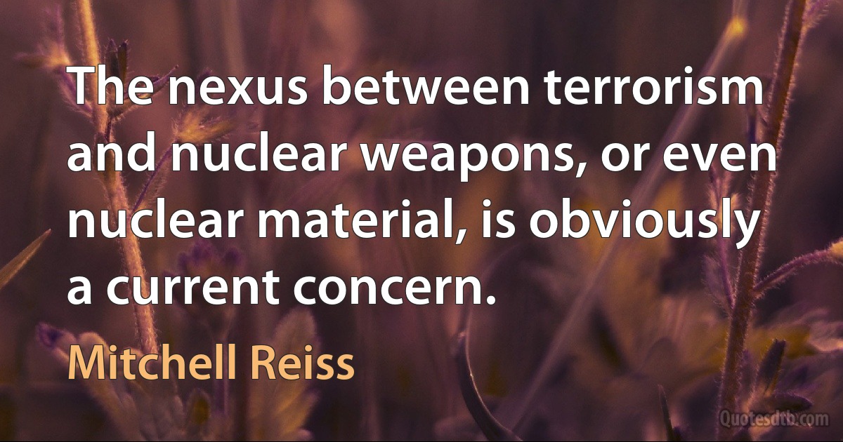 The nexus between terrorism and nuclear weapons, or even nuclear material, is obviously a current concern. (Mitchell Reiss)