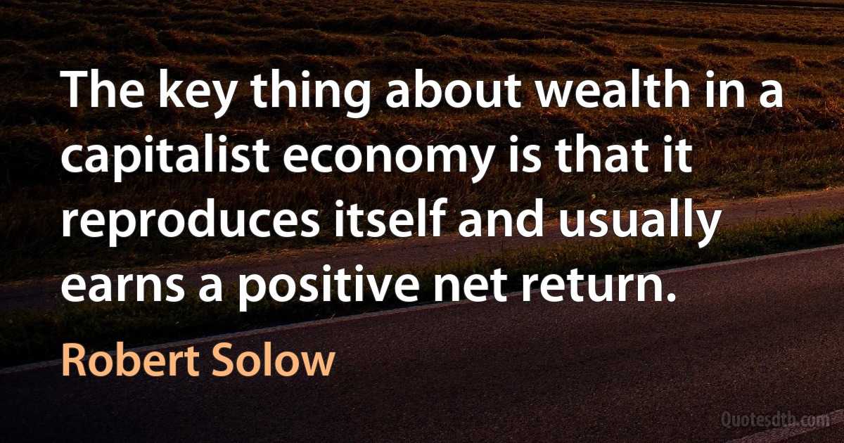 The key thing about wealth in a capitalist economy is that it reproduces itself and usually earns a positive net return. (Robert Solow)