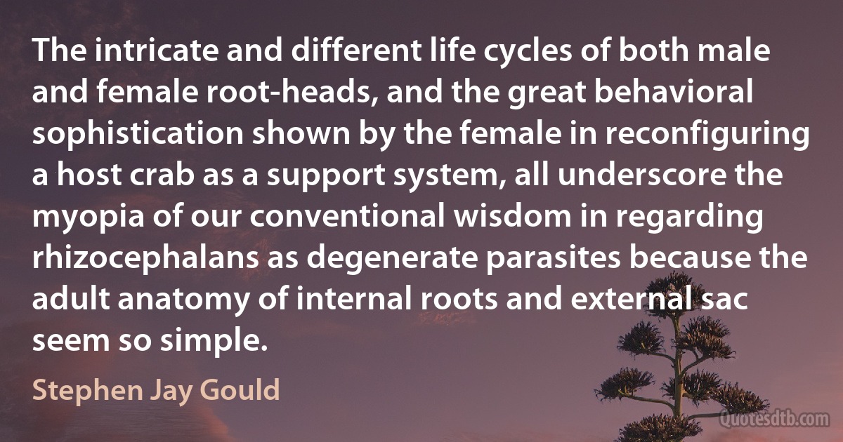 The intricate and different life cycles of both male and female root-heads, and the great behavioral sophistication shown by the female in reconfiguring a host crab as a support system, all underscore the myopia of our conventional wisdom in regarding rhizocephalans as degenerate parasites because the adult anatomy of internal roots and external sac seem so simple. (Stephen Jay Gould)