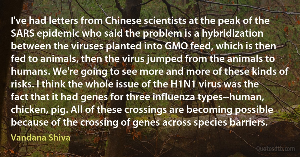 I've had letters from Chinese scientists at the peak of the SARS epidemic who said the problem is a hybridization between the viruses planted into GMO feed, which is then fed to animals, then the virus jumped from the animals to humans. We're going to see more and more of these kinds of risks. I think the whole issue of the H1N1 virus was the fact that it had genes for three influenza types--human, chicken, pig. All of these crossings are becoming possible because of the crossing of genes across species barriers. (Vandana Shiva)