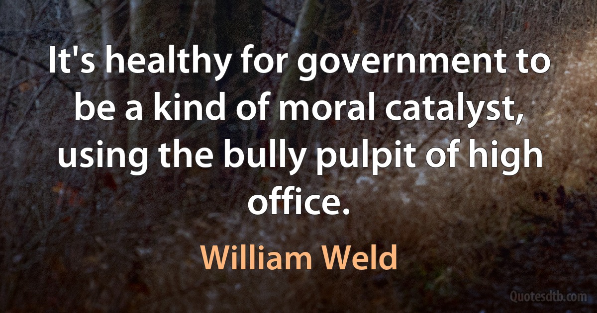 It's healthy for government to be a kind of moral catalyst, using the bully pulpit of high office. (William Weld)