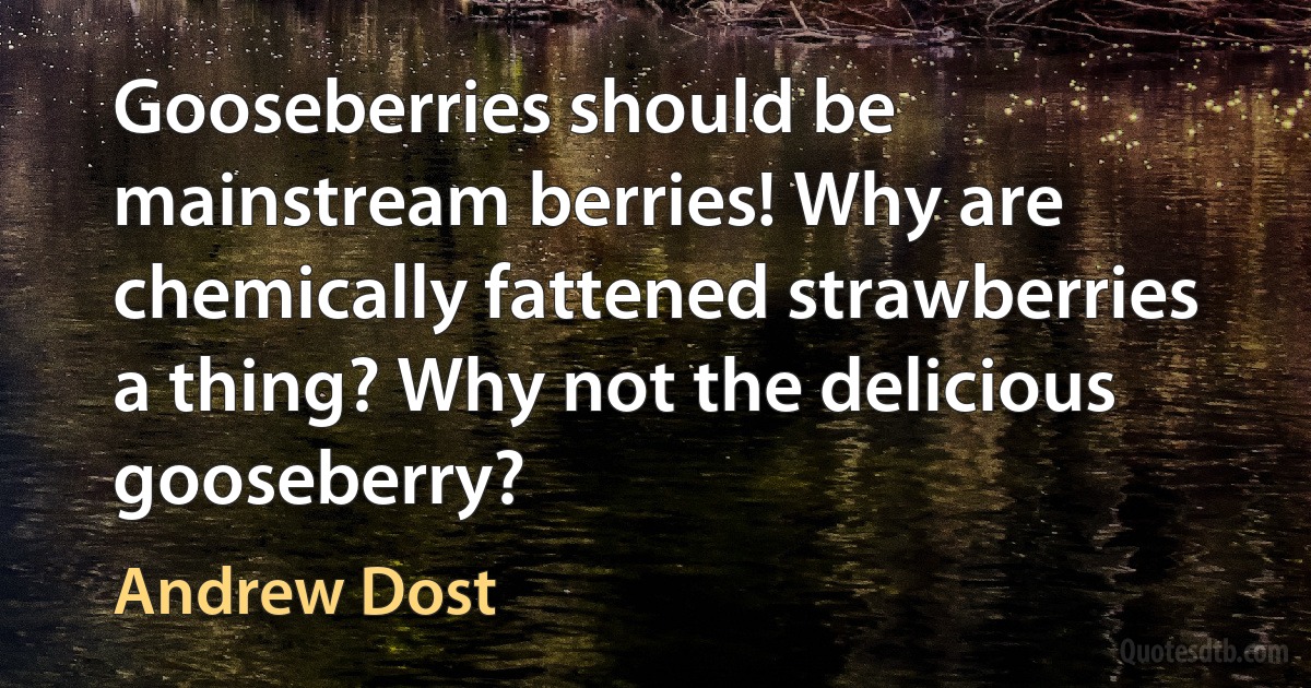 Gooseberries should be mainstream berries! Why are chemically fattened strawberries a thing? Why not the delicious gooseberry? (Andrew Dost)