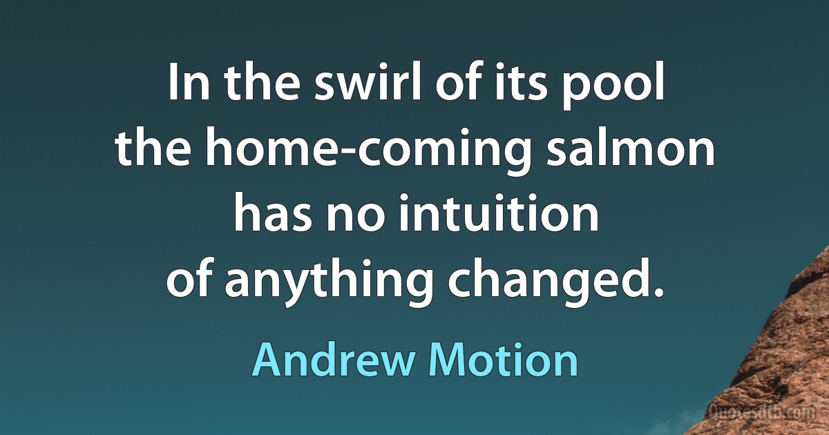 In the swirl of its pool
the home-coming salmon
has no intuition
of anything changed. (Andrew Motion)