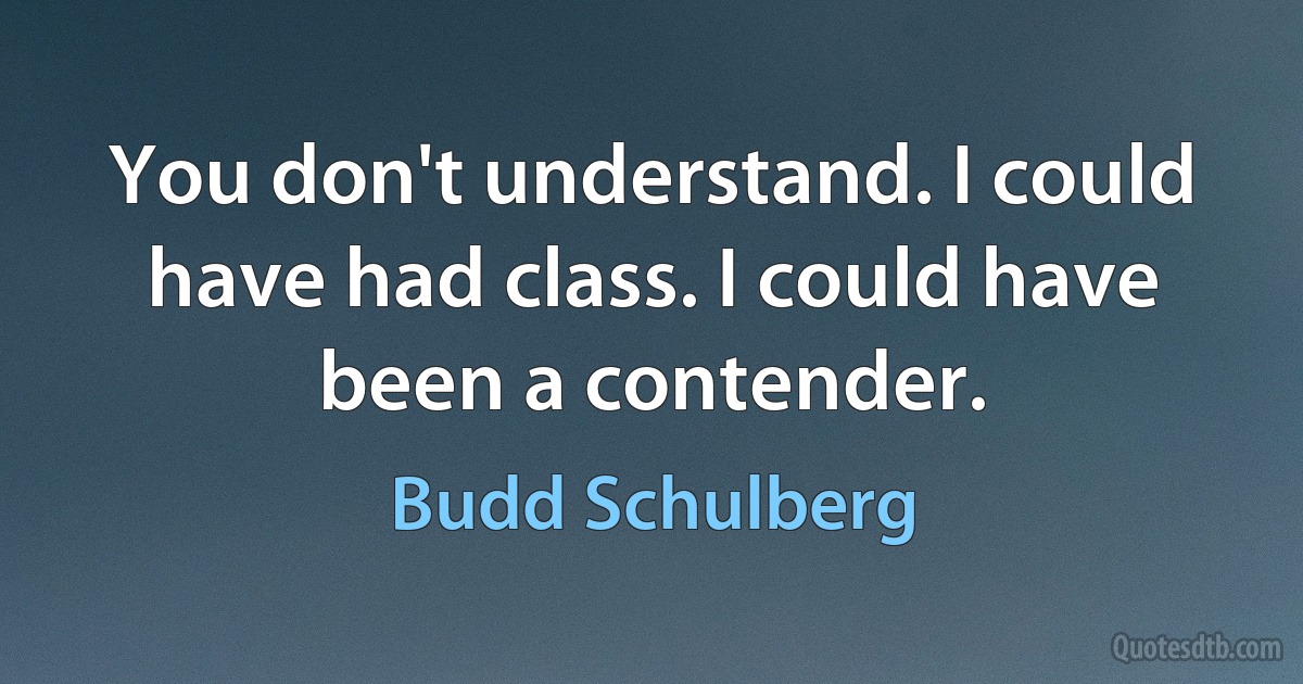 You don't understand. I could have had class. I could have been a contender. (Budd Schulberg)