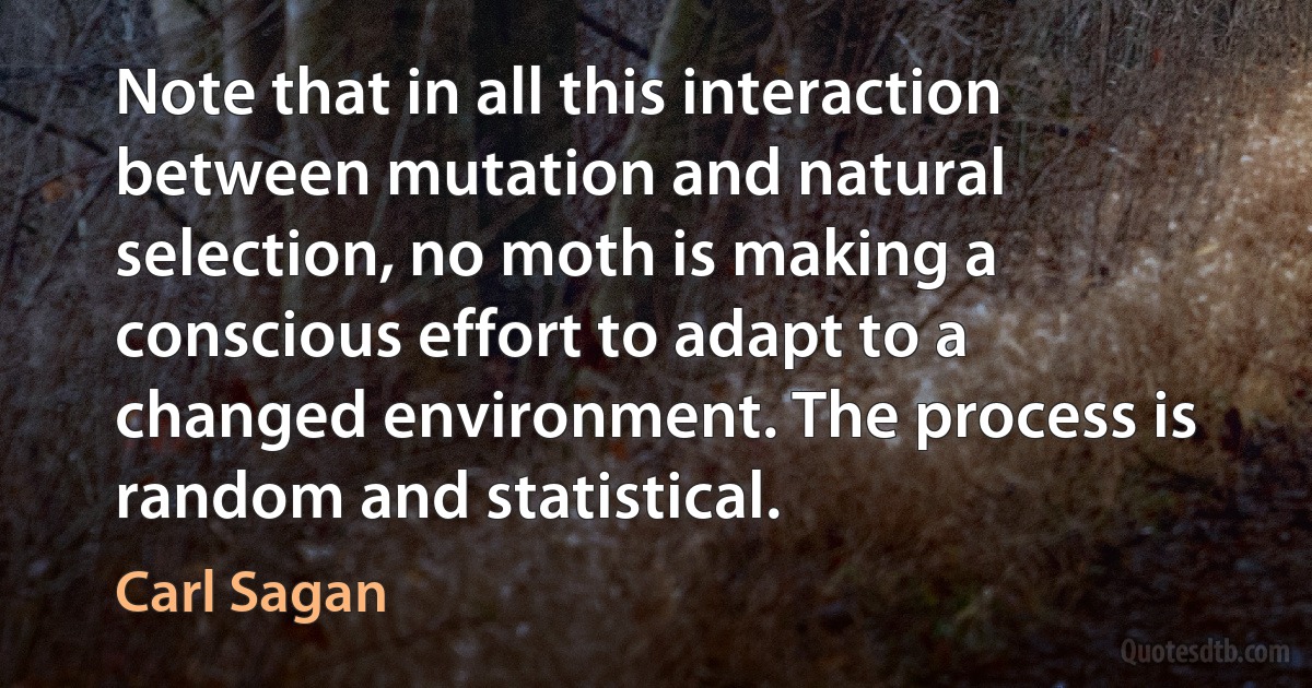 Note that in all this interaction between mutation and natural selection, no moth is making a conscious effort to adapt to a changed environment. The process is random and statistical. (Carl Sagan)