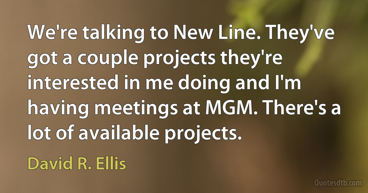 We're talking to New Line. They've got a couple projects they're interested in me doing and I'm having meetings at MGM. There's a lot of available projects. (David R. Ellis)