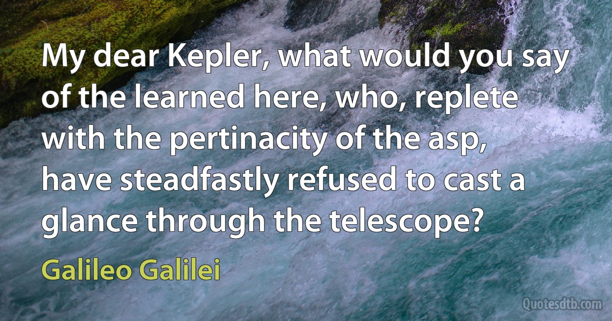 My dear Kepler, what would you say of the learned here, who, replete with the pertinacity of the asp, have steadfastly refused to cast a glance through the telescope? (Galileo Galilei)