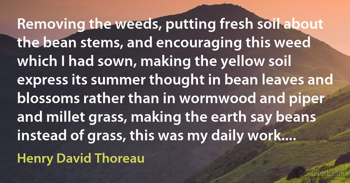 Removing the weeds, putting fresh soil about the bean stems, and encouraging this weed which I had sown, making the yellow soil express its summer thought in bean leaves and blossoms rather than in wormwood and piper and millet grass, making the earth say beans instead of grass, this was my daily work.... (Henry David Thoreau)