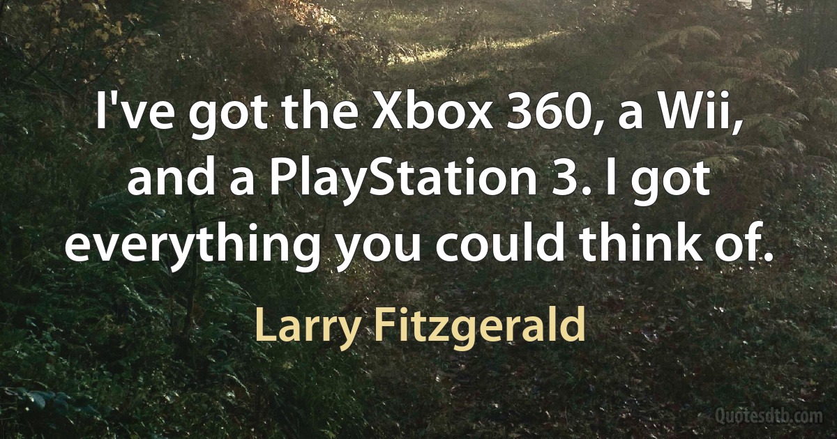 I've got the Xbox 360, a Wii, and a PlayStation 3. I got everything you could think of. (Larry Fitzgerald)