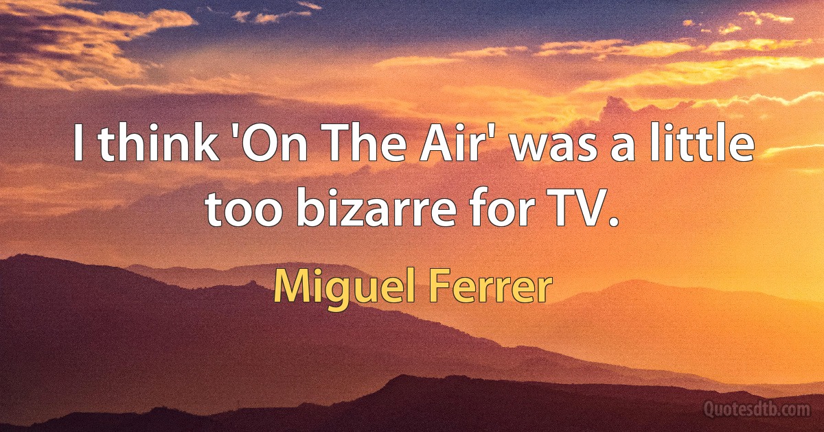 I think 'On The Air' was a little too bizarre for TV. (Miguel Ferrer)