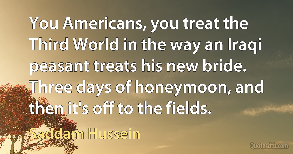 You Americans, you treat the Third World in the way an Iraqi peasant treats his new bride. Three days of honeymoon, and then it's off to the fields. (Saddam Hussein)