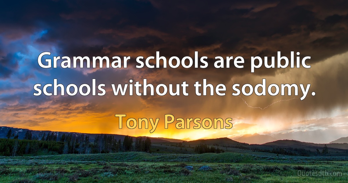 Grammar schools are public schools without the sodomy. (Tony Parsons)