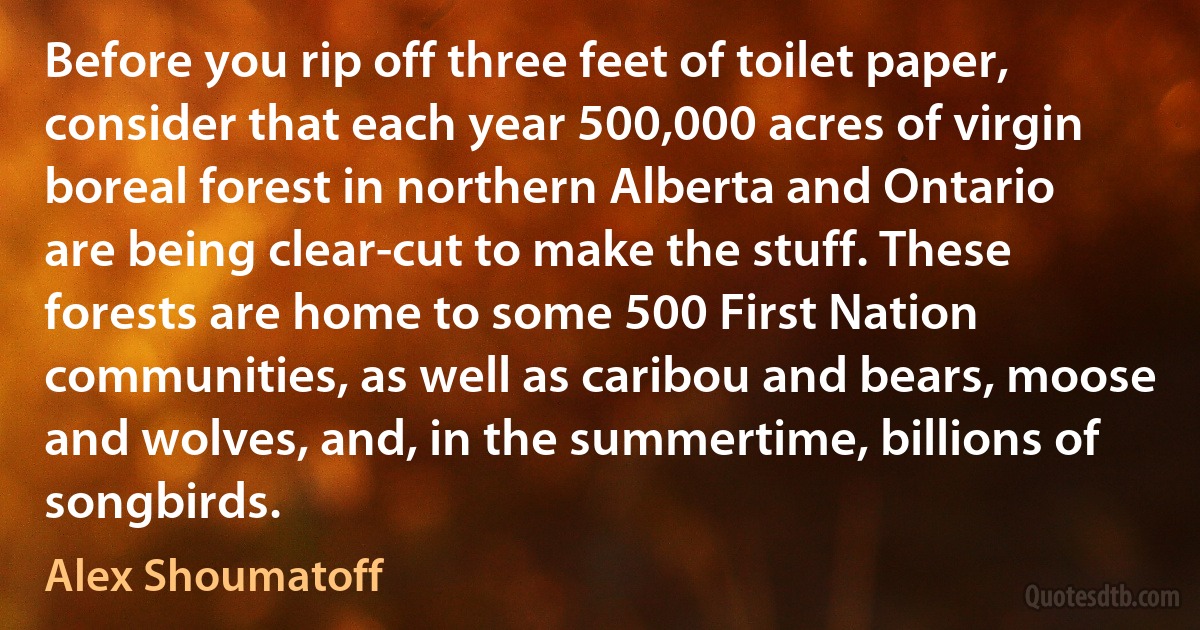 Before you rip off three feet of toilet paper, consider that each year 500,000 acres of virgin boreal forest in northern Alberta and Ontario are being clear-cut to make the stuff. These forests are home to some 500 First Nation communities, as well as caribou and bears, moose and wolves, and, in the summertime, billions of songbirds. (Alex Shoumatoff)