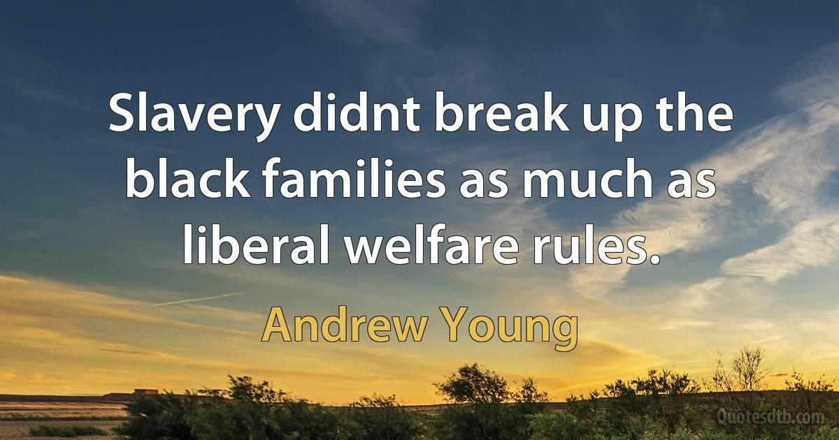 Slavery didnt break up the black families as much as liberal welfare rules. (Andrew Young)