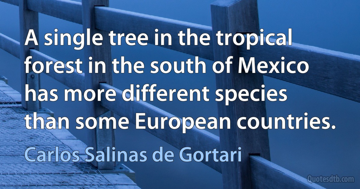 A single tree in the tropical forest in the south of Mexico has more different species than some European countries. (Carlos Salinas de Gortari)