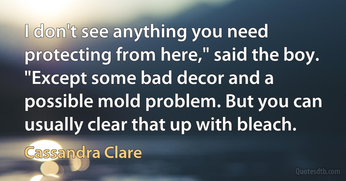 I don't see anything you need protecting from here," said the boy. "Except some bad decor and a possible mold problem. But you can usually clear that up with bleach. (Cassandra Clare)