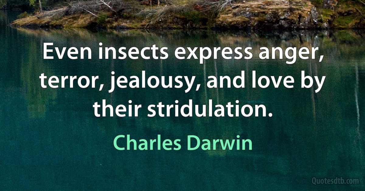 Even insects express anger, terror, jealousy, and love by their stridulation. (Charles Darwin)