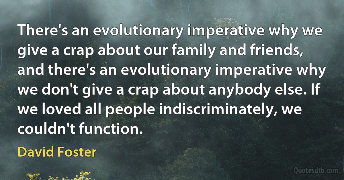 There's an evolutionary imperative why we give a crap about our family and friends, and there's an evolutionary imperative why we don't give a crap about anybody else. If we loved all people indiscriminately, we couldn't function. (David Foster)