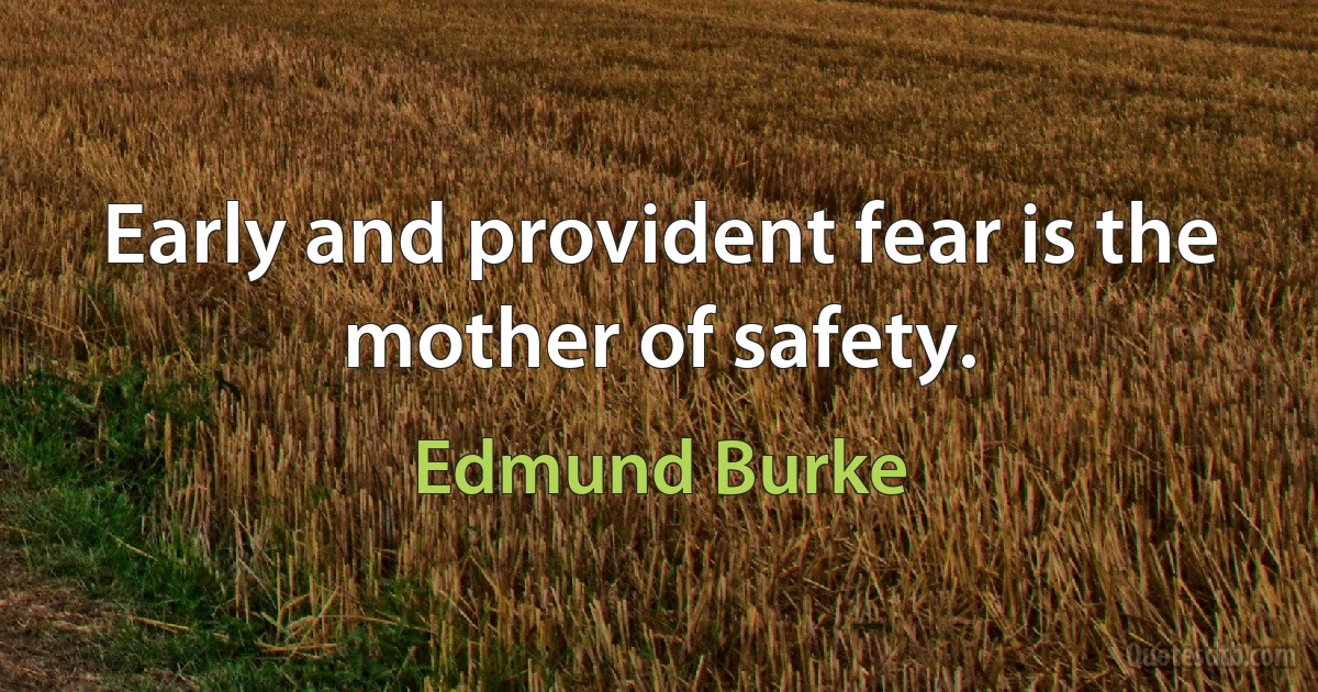 Early and provident fear is the mother of safety. (Edmund Burke)