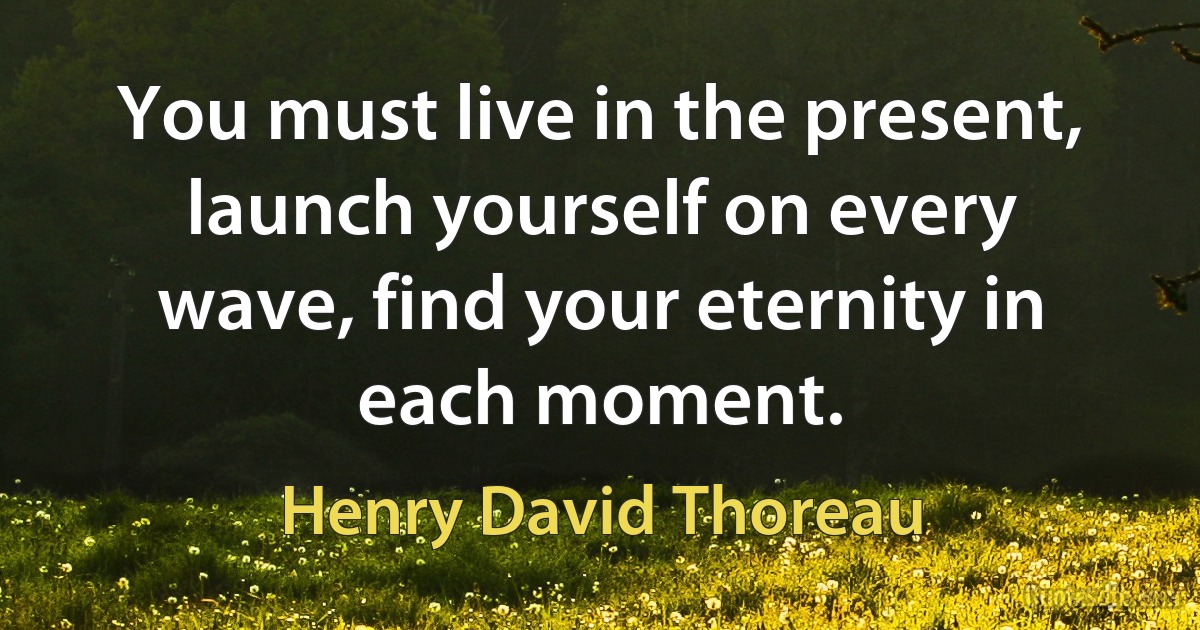 You must live in the present, launch yourself on every wave, find your eternity in each moment. (Henry David Thoreau)