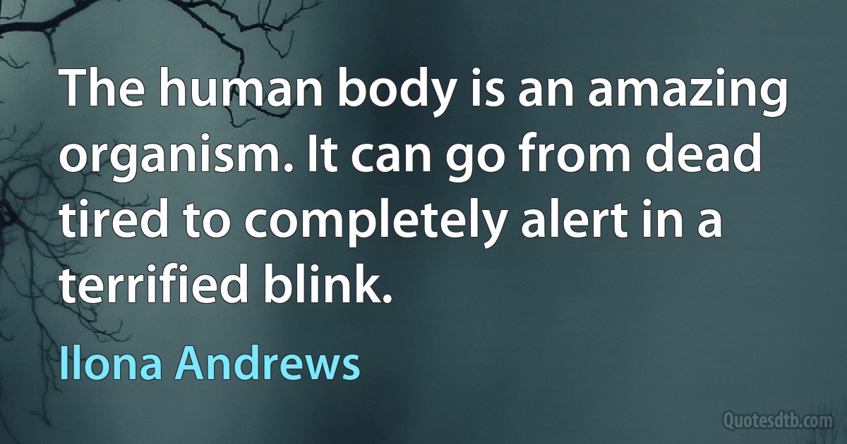 The human body is an amazing organism. It can go from dead tired to completely alert in a terrified blink. (Ilona Andrews)