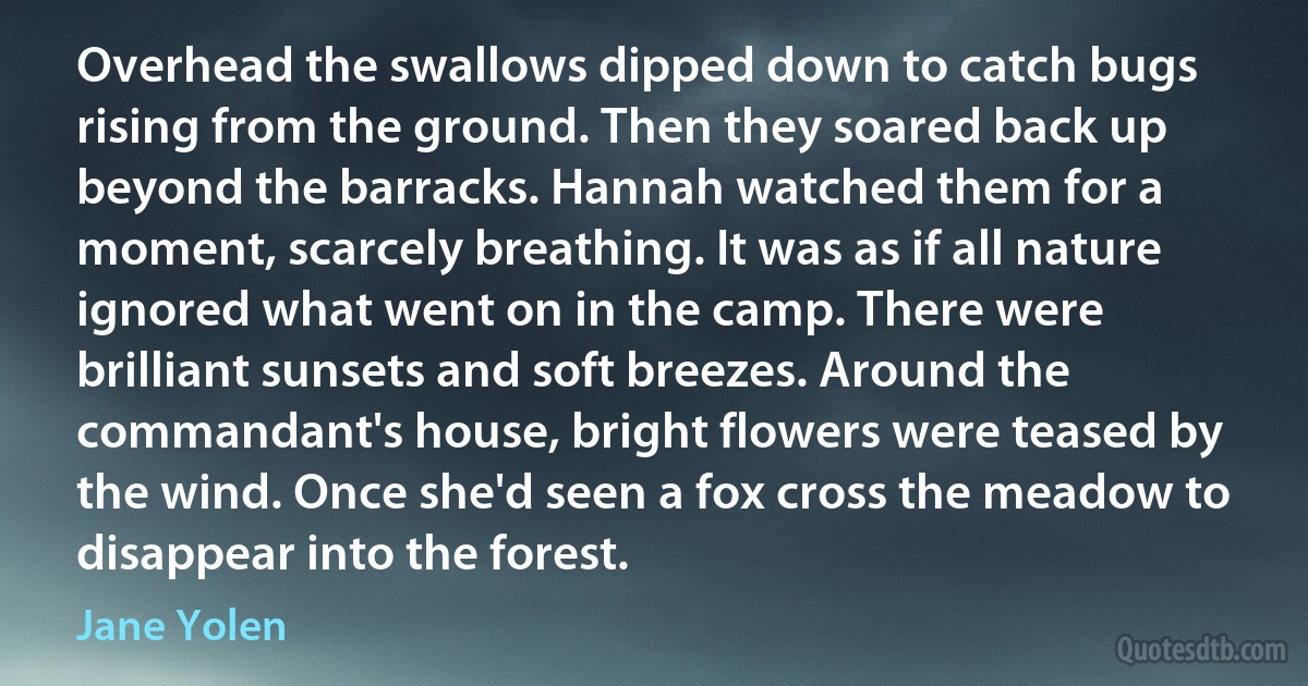 Overhead the swallows dipped down to catch bugs rising from the ground. Then they soared back up beyond the barracks. Hannah watched them for a moment, scarcely breathing. It was as if all nature ignored what went on in the camp. There were brilliant sunsets and soft breezes. Around the commandant's house, bright flowers were teased by the wind. Once she'd seen a fox cross the meadow to disappear into the forest. (Jane Yolen)