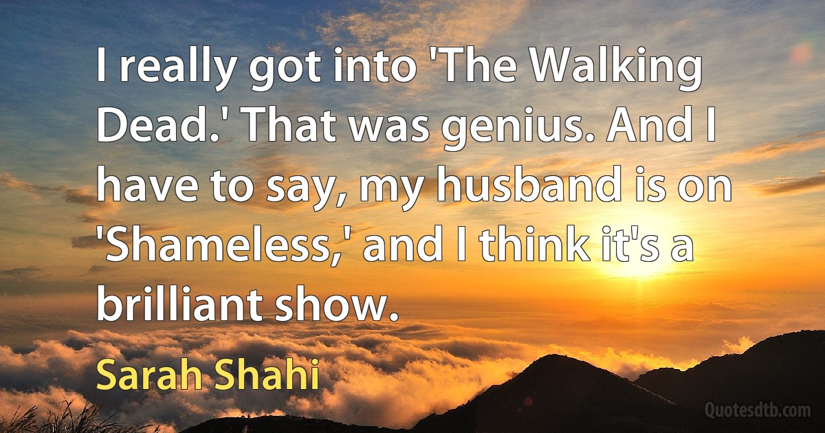 I really got into 'The Walking Dead.' That was genius. And I have to say, my husband is on 'Shameless,' and I think it's a brilliant show. (Sarah Shahi)