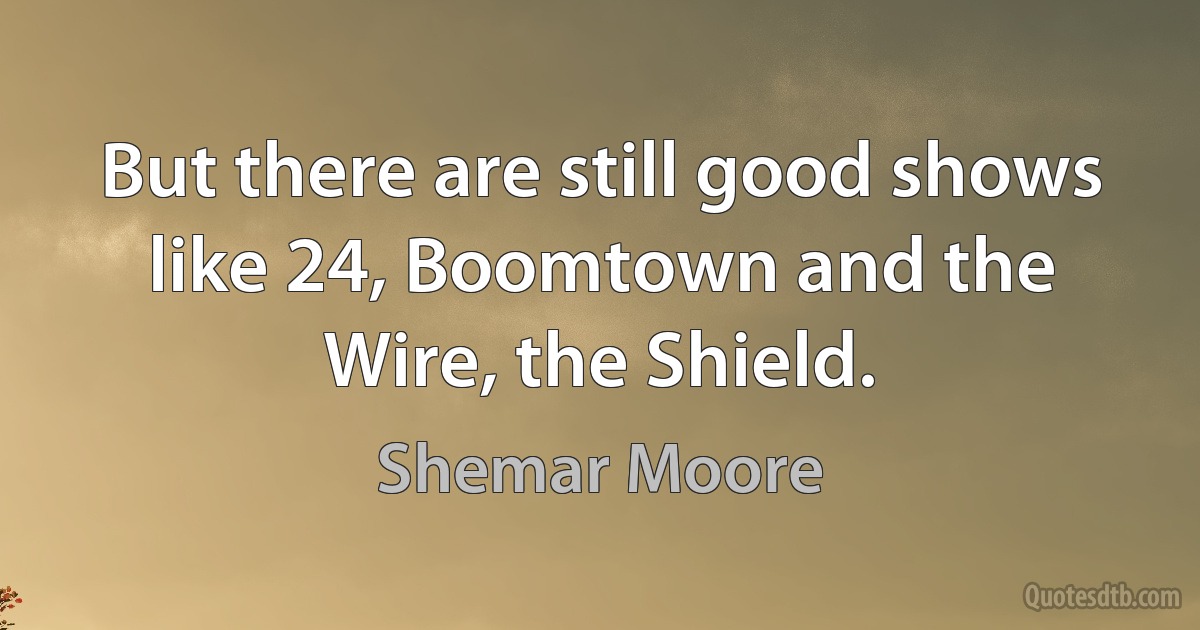 But there are still good shows like 24, Boomtown and the Wire, the Shield. (Shemar Moore)