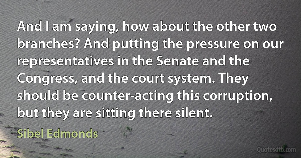 And I am saying, how about the other two branches? And putting the pressure on our representatives in the Senate and the Congress, and the court system. They should be counter-acting this corruption, but they are sitting there silent. (Sibel Edmonds)