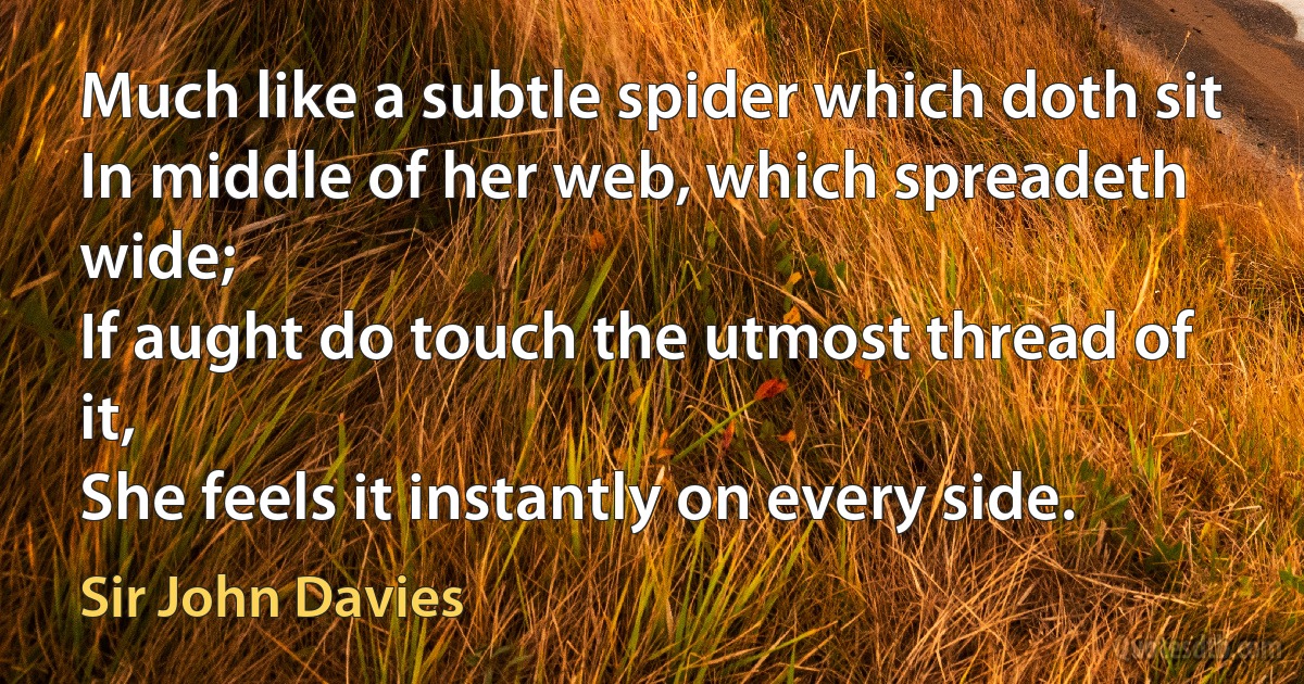 Much like a subtle spider which doth sit
In middle of her web, which spreadeth wide;
If aught do touch the utmost thread of it,
She feels it instantly on every side. (Sir John Davies)