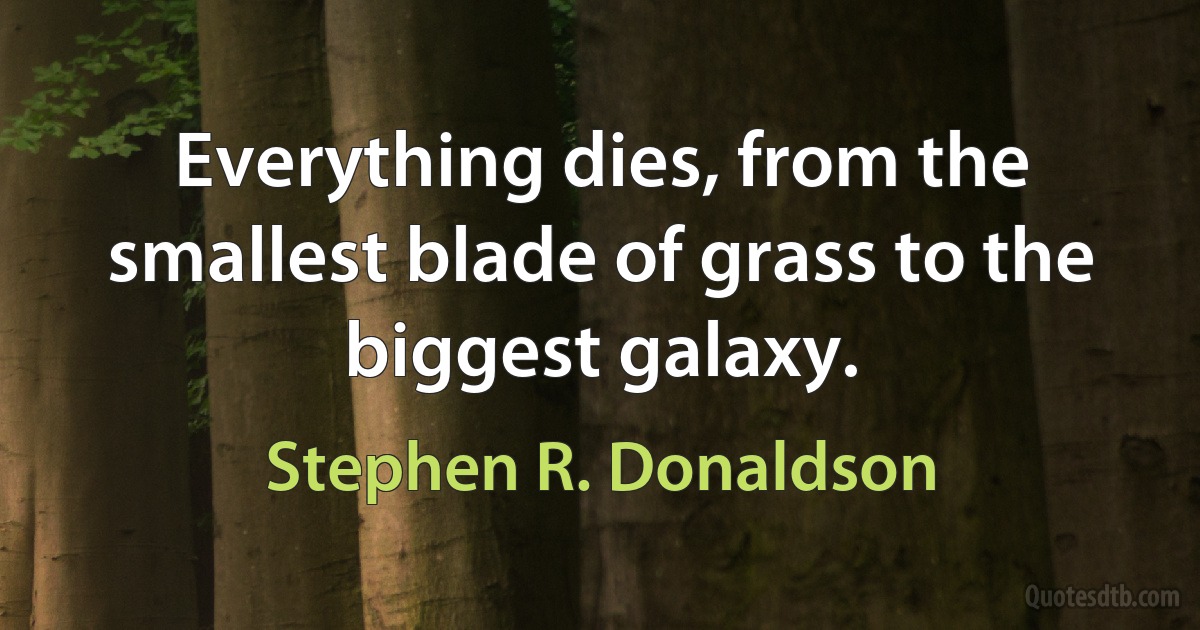 Everything dies, from the smallest blade of grass to the biggest galaxy. (Stephen R. Donaldson)