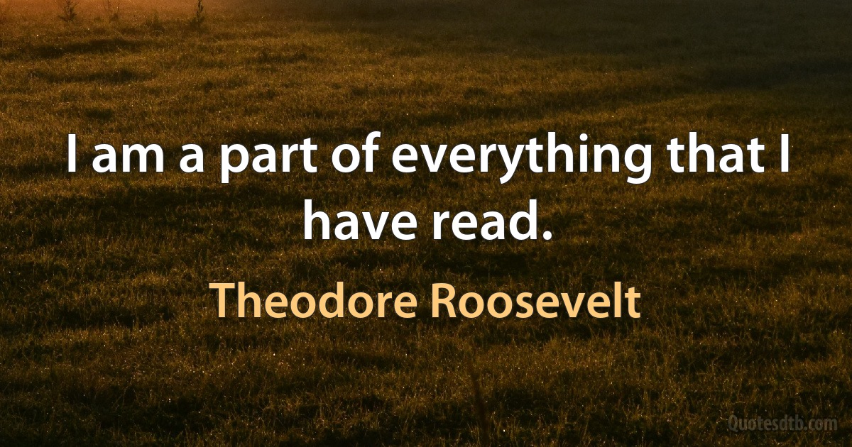 I am a part of everything that I have read. (Theodore Roosevelt)