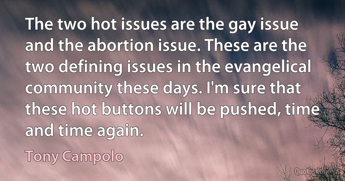 The two hot issues are the gay issue and the abortion issue. These are the two defining issues in the evangelical community these days. I'm sure that these hot buttons will be pushed, time and time again. (Tony Campolo)