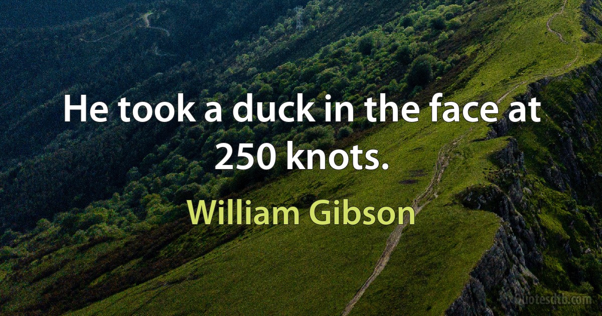 He took a duck in the face at 250 knots. (William Gibson)