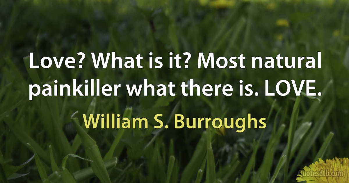 Love? What is it? Most natural painkiller what there is. LOVE. (William S. Burroughs)