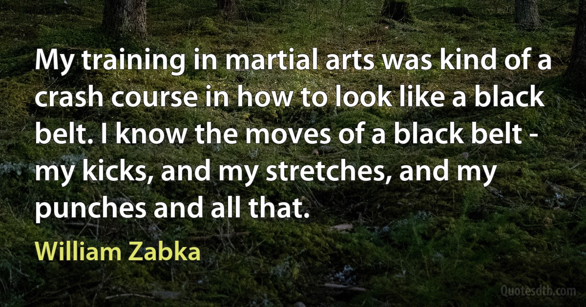 My training in martial arts was kind of a crash course in how to look like a black belt. I know the moves of a black belt - my kicks, and my stretches, and my punches and all that. (William Zabka)