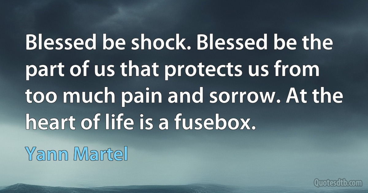 Blessed be shock. Blessed be the part of us that protects us from too much pain and sorrow. At the heart of life is a fusebox. (Yann Martel)