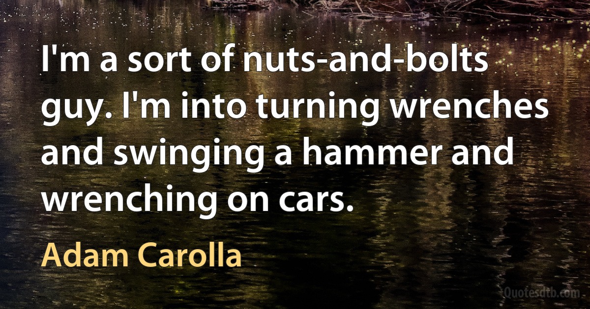 I'm a sort of nuts-and-bolts guy. I'm into turning wrenches and swinging a hammer and wrenching on cars. (Adam Carolla)