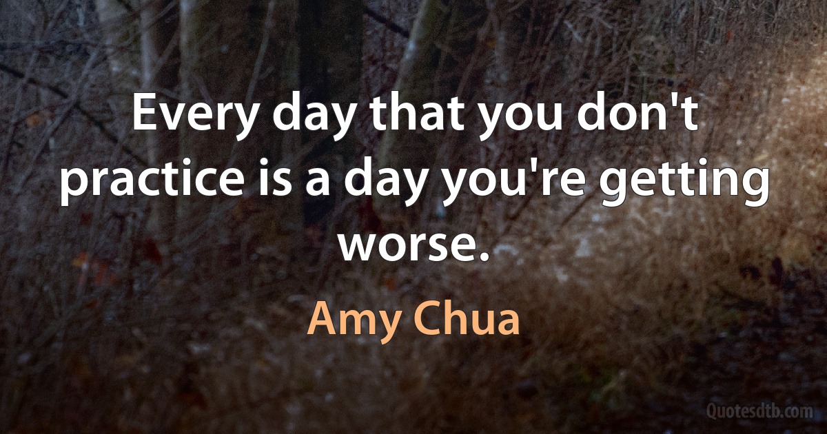 Every day that you don't practice is a day you're getting worse. (Amy Chua)