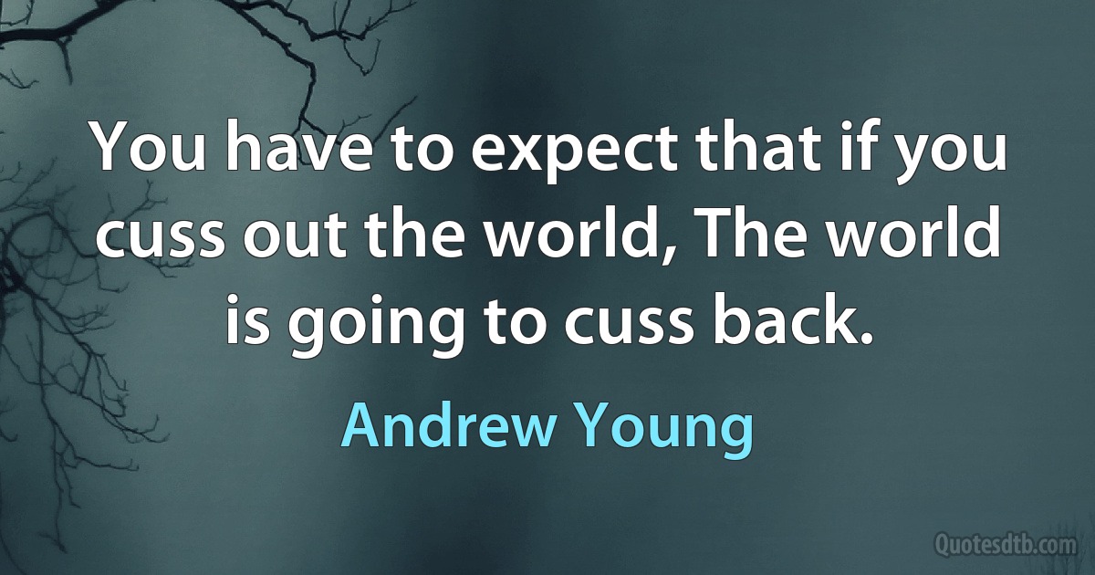 You have to expect that if you cuss out the world, The world is going to cuss back. (Andrew Young)