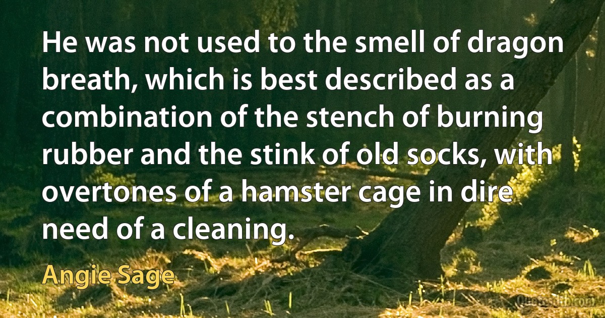 He was not used to the smell of dragon breath, which is best described as a combination of the stench of burning rubber and the stink of old socks, with overtones of a hamster cage in dire need of a cleaning. (Angie Sage)